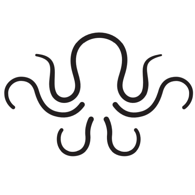 Octopus Digueti Icon